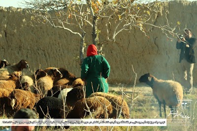 Photos of Khane NaserLashkar