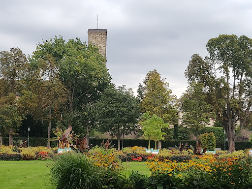Orangeriegarten Darmstadt - Thumbnail