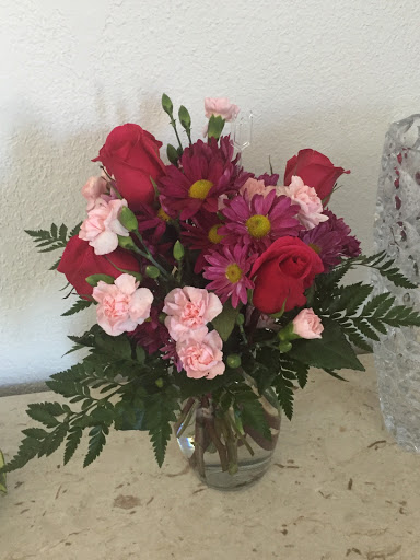 Schalk's Posie Patch - Visual