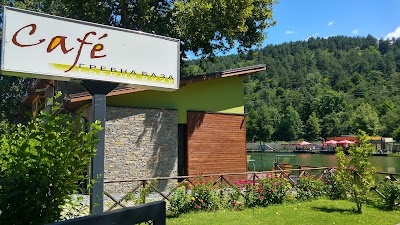Photos of Гребна База