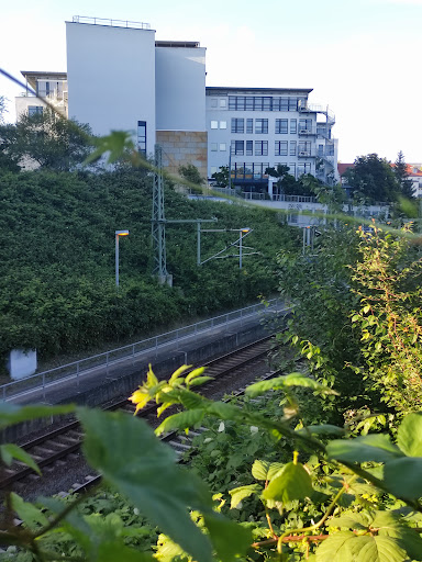 Möckern - Visual