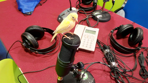 Radio Pedrajas (98.4 FM) Gallery - Spain