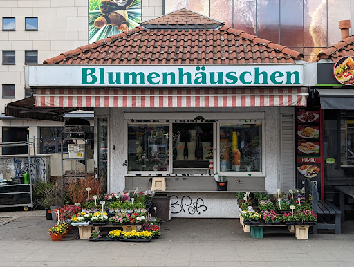 Blumenhäuschen - Visual