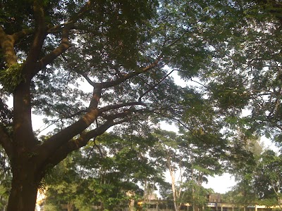 Photos of Chowmohani Govt. S. A. College