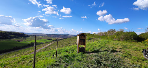 Aussichtsplatz Frohnbachblick - Thumbnail
