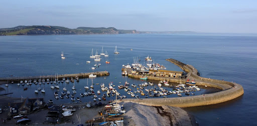 The Cobb - Visual