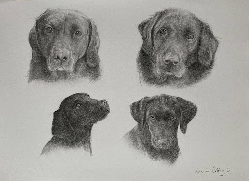 Lucinda Coldrey Fine Art - Thumbnail