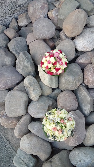 Photos of Soltan Flower