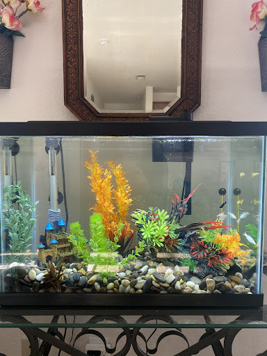 Jorge's Aquatics - Thumbnail