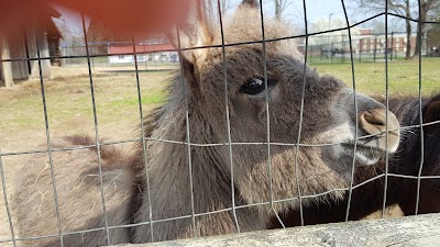 Karns Animal Clinic