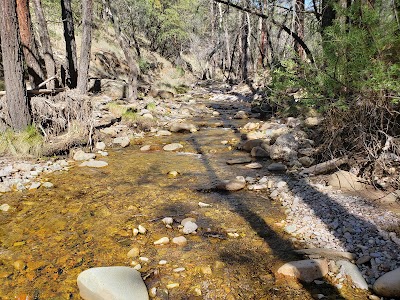 West Turkey Creek