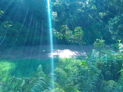 Photos of Gunung Pesagi
