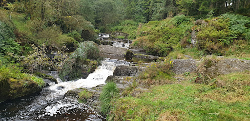 Source of the River Severn - Thumbnail