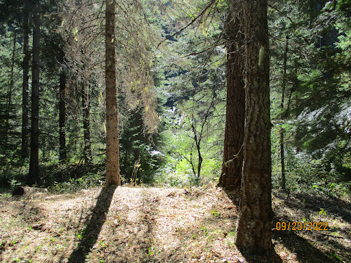 Fly Flat Campground - Thumbnail