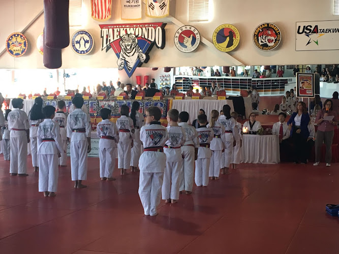 White Tiger Taekwondo & Martial Arts - taekwondo in Raleigh, North Carolina