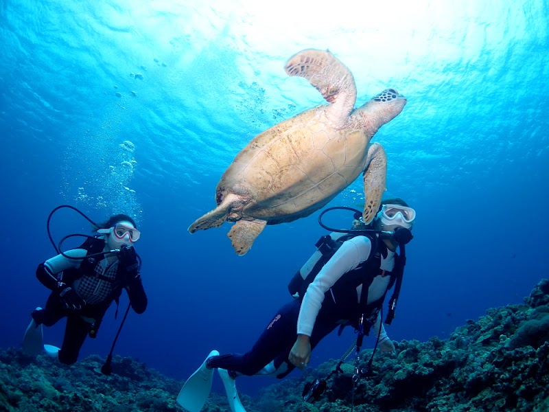 リヴァイアサン