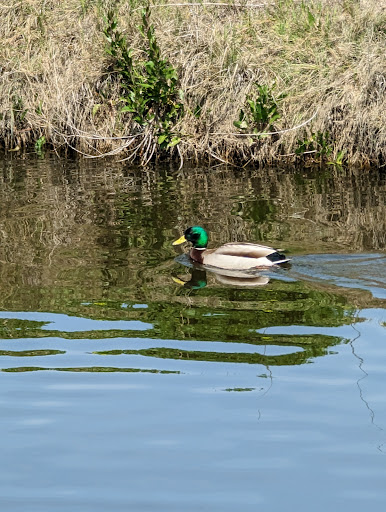 Sunnyvale Industrial Wastewater