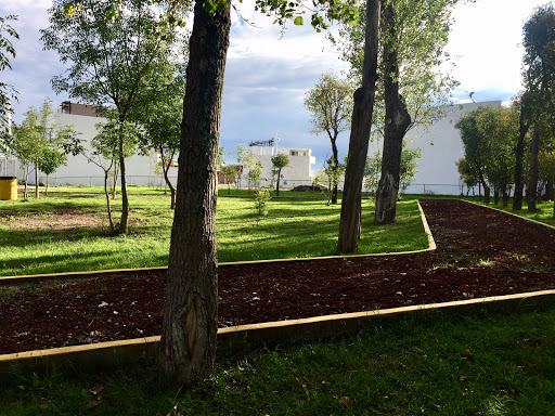 Area verde pet friendly La Antigua Cementera - Thumbnail