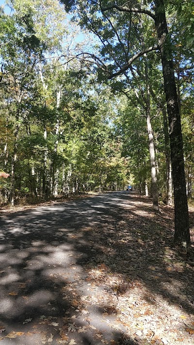 Bellplain State Forest Astronomy