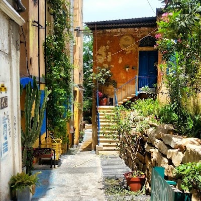 Photos of Saifi Urban Gardens