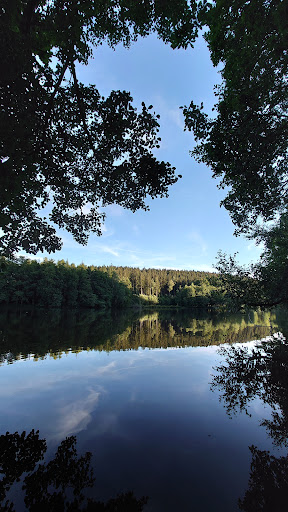 Etang de la fabrique - Thumbnail
