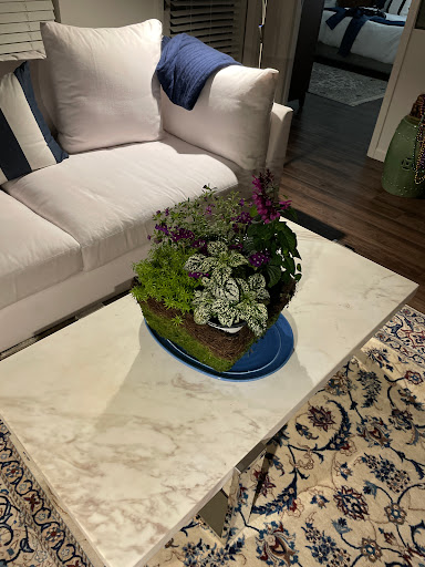 The Plant Shoppe - Thumbnail