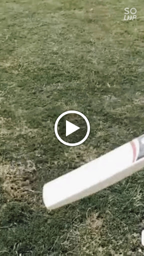 SA SPORTS BEST ENGLISH WILLOW CRICKET BAT MANUFACTURER IN Meerut post image
