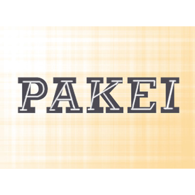 Pakei S.r.l - Visual