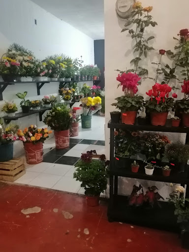 Floristería Portales - Thumbnail