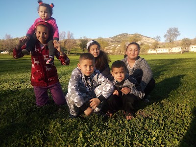 Photos of مزرعة فلاحية