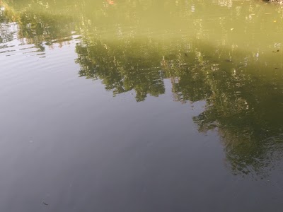Photos of Pakshey Park