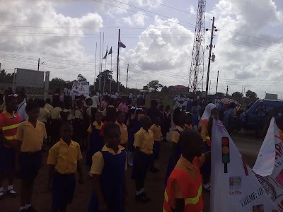 Photos of ACVS