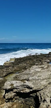 Guadeloupe National Park by null