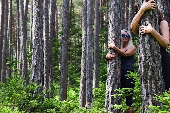 Hotel Saltus by null