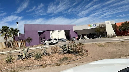 Centro de Rehabilitación y Educación Especial (CREE)