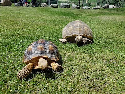 Trowbridge Creek Zoo