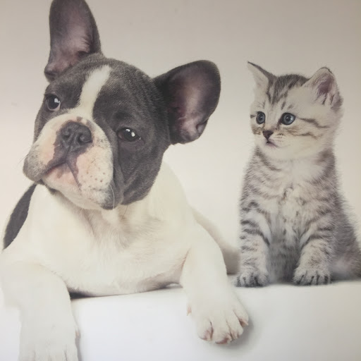 Jonora Animal Hospital (MOVED TO KURRAJONG ANIMAL HOSPITAL)