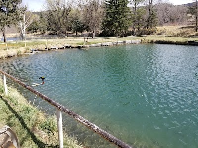 Seeping Springs Trout Lakes