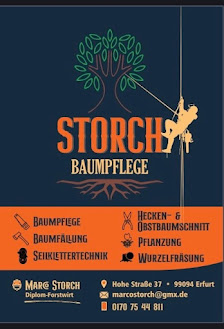 Baumpflege Marco Storch Erfurt Hohe Str. 37, 99094 Erfurt, Deutschland
