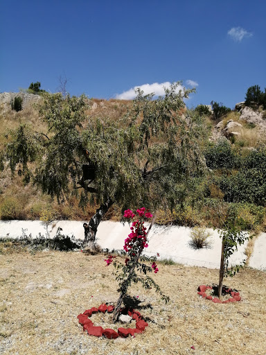 Area verde San Agustín