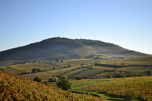 Terroirs Originels