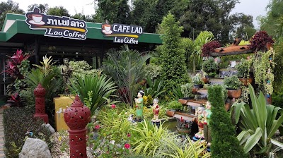 Photos of Cafe Lao