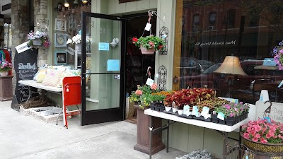 Photos of Ducy's General Store