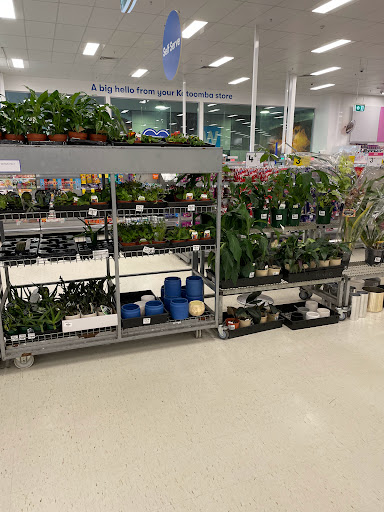 BIG W Katoomba - Thumbnail
