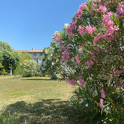 Photo n°8 de Le Relais d'Affiac à Peyriac-Minervois (Appartement de vacances)