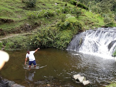 Photos of la floresta Park