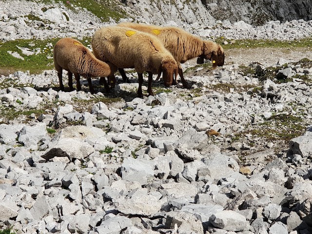 Hafelekarspitze