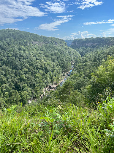 Wolf Creek Overlook - Thumbnail