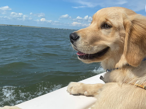 Rising Tide Charters - Thumbnail