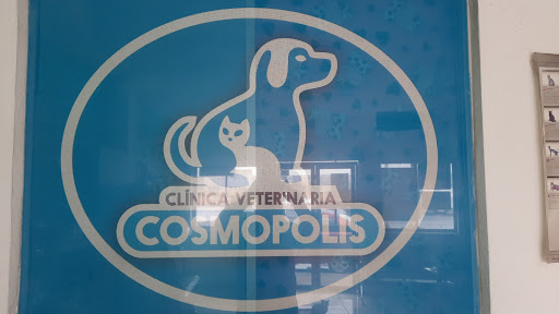 veterinaria cosmopolis - Thumbnail